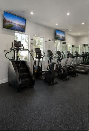 A gym with treadmills and exercise bikes.