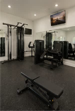 A gym with a variety of equipment including a bench, a rowing machine, and a treadmill.
