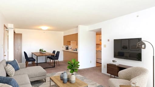 A living room with a grey couch, a coffee table, a television, and a dining table with chairs.