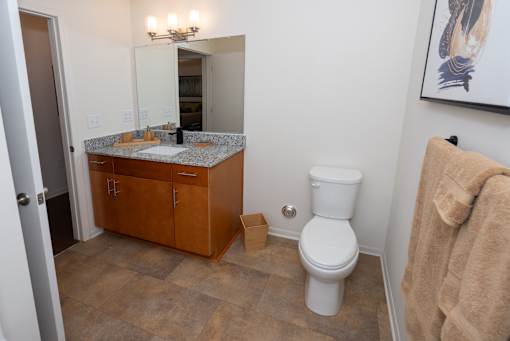 A bathroom with a toilet, a cabinet, and a mirror.