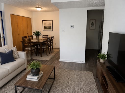 A living room with a couch, coffee table, and television.