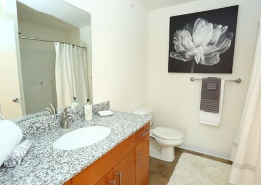 Bathroom at Withington Apartments, Jackson, MI, 49201
