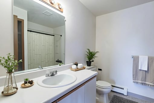 A white bathroom with a sink, mirror, toilet, and a plant.
