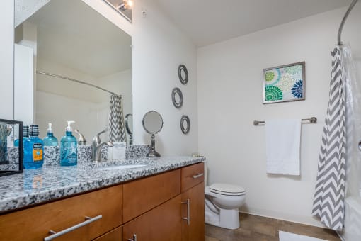 Luxurious Bathroom  at Benson Estates Apartments, AUGUSTA, Georgia
