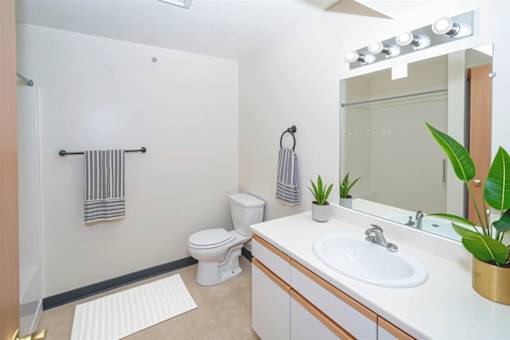 A white toilet sits next to a sink in a bathroom.