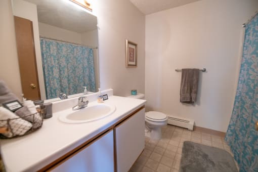 Luxurious Bathroom at Custer Estates in Monroe, MI