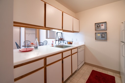 Kitchen Sink at Custer Estates Apartments, Monroe, Michigan
