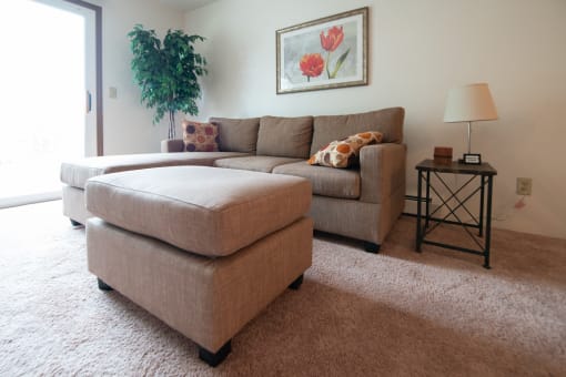 Living area at Custer Estates in Monroe, MI
