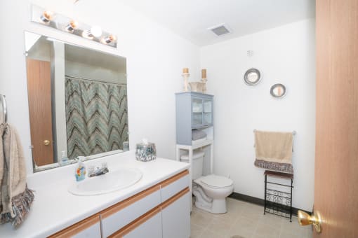 Bathroom at Eddins Estates Apartments, Tuscaloosa, Alabama