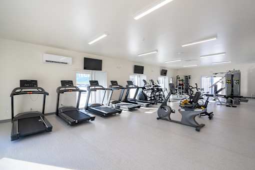 A gym with treadmills and elliptical machines.