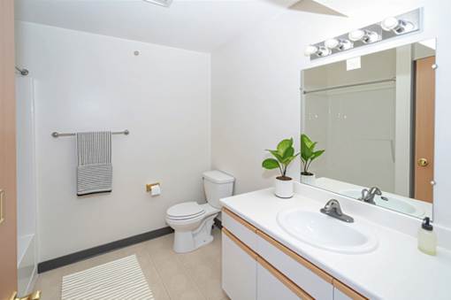 A bathroom with a toilet, sink, and mirror.