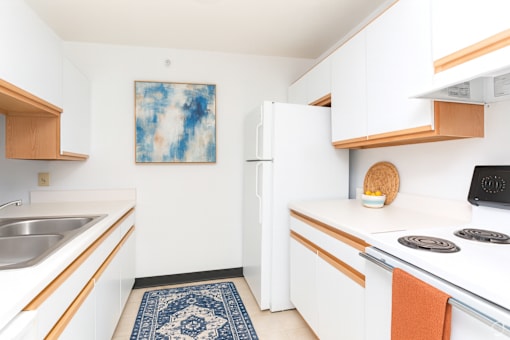 A kitchen with white cabinets and a blue rug on the floor.