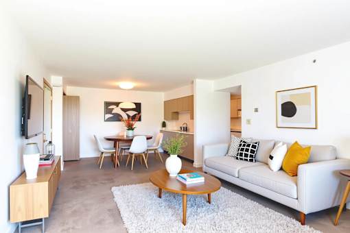 A living room with a grey couch, a coffee table, and a television.