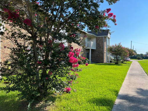 Stuart Apartmetnts Baytown TX