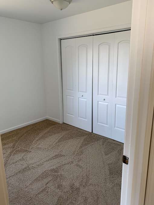 a room with carpet and two closet doors