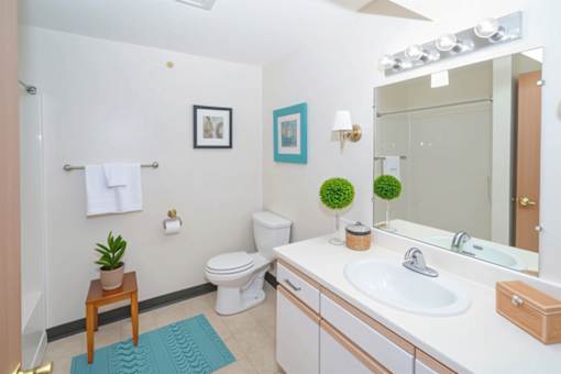 A bathroom with a white toilet, sink, and a mirror.