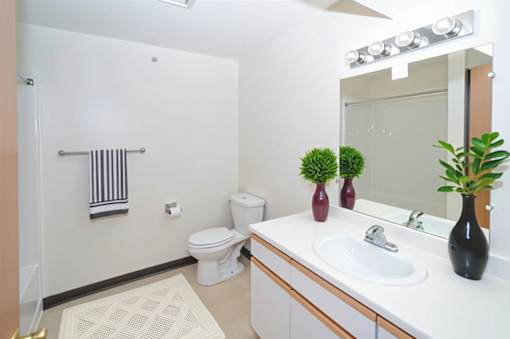 A bathroom with a toilet, sink, and mirror.