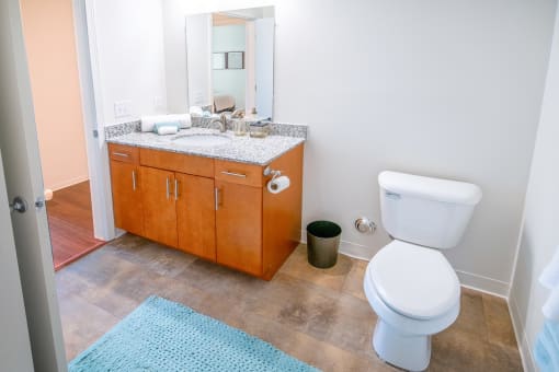 Luxurious Bathroom at Carr Apartments, Sylvania