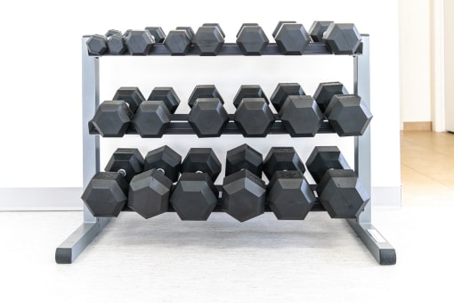 Free Weights at Carr Apartments, Sylvania, OH, 43560