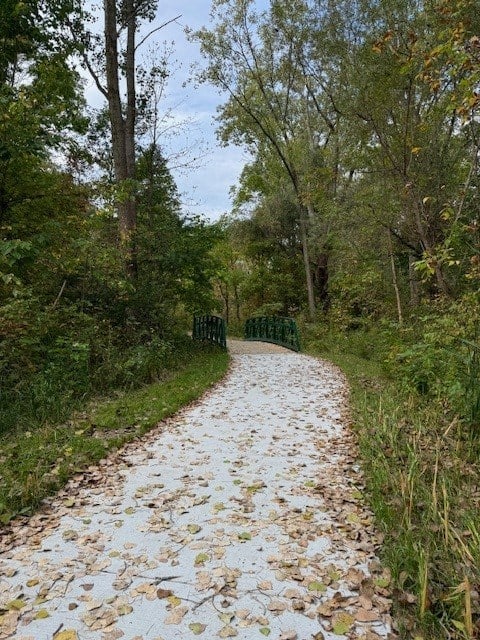 a path leading to a bridge in the woods