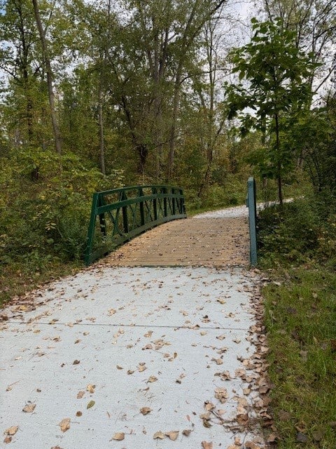 a green bridge over a trail in the woods
