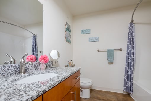 Luxurious Bathroom  at Walker Estates Apartments, Augusta, GA