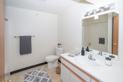 A bathroom with a white toilet, sink, and mirror.