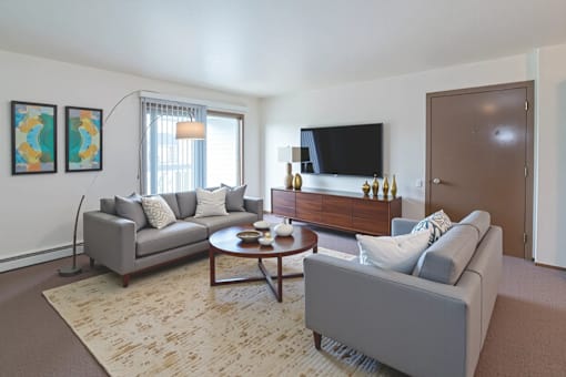 A living room with a grey couch, a coffee table, and a flat screen TV.