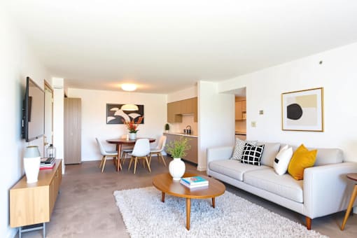 A living room with a grey couch, a coffee table, and a television.