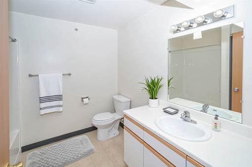 A white bathroom with a toilet, sink, mirror, and a plant.
