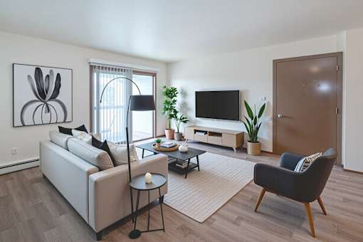 A living room with a white sofa, a black chair, a coffee table, a television, and a plant.