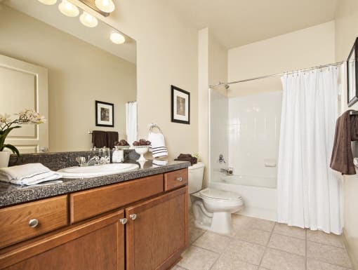 The Legacy at Walton Overlook Apartment Bathroom