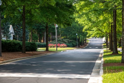 Walton Reserve Apartment Homes Tree Lined Streets