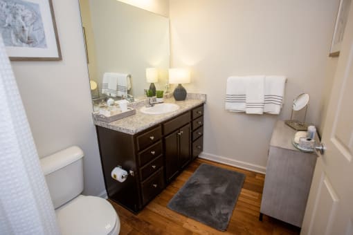 Walton Ridge Apartment Home Bathroom