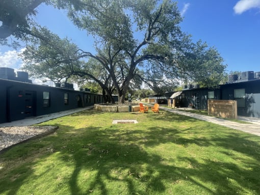 a yard with a tree in the middle of a building