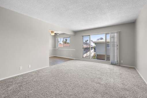 A spacious room with a carpeted floor and a large window overlooking a street.