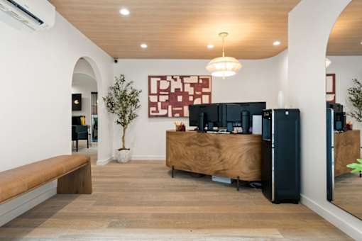 A reception area with a wooden desk and a potted plant.