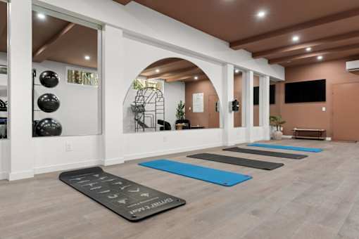 A yoga studio with mats and exercise balls on the wall.