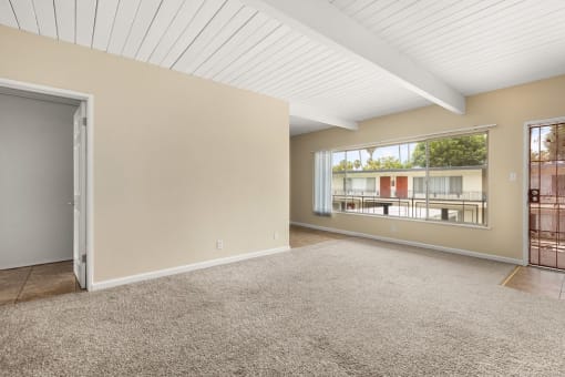 a bedroom with a large window and beige carpet
