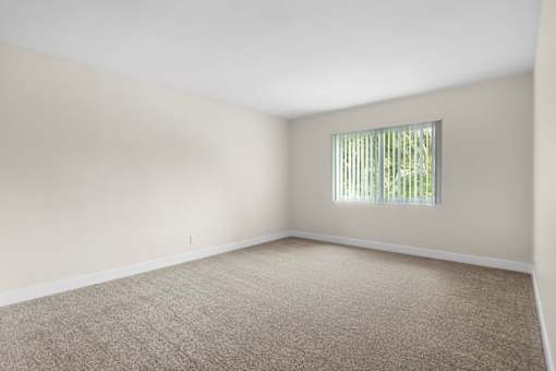 A room with a carpeted floor and a window with blinds.