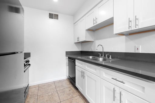 Upgraded Cabinets and Counter Tops