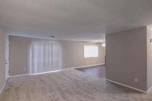 Elmwood Apartments