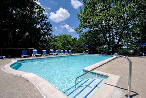 A swimming pool surrounded by trees and blue lounge chairs.