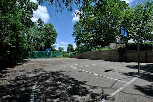 A basketball court surrounded by trees and a basketball hoop.