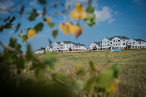 Lush Green fields at Abbey Ridge Apartment Homes, Oxford, MI, 48371