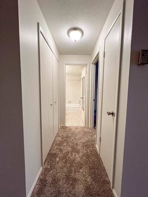 a hallway with closets and a carpeted floor and a ceiling light
