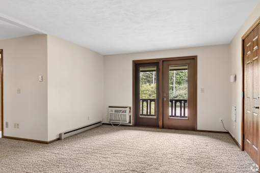 A room with a brown door and a carpet on the floor.