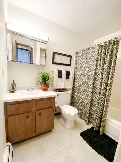 Model Bathroom at Condor Garden Apartments, Elyria, OH, Ohio, 44035