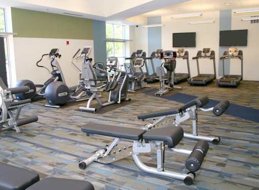 A gym with a variety of equipment including treadmills, stationary bikes, and weight benches at Hummingbird Pointe & The Gardens, Parma, OH 44129
