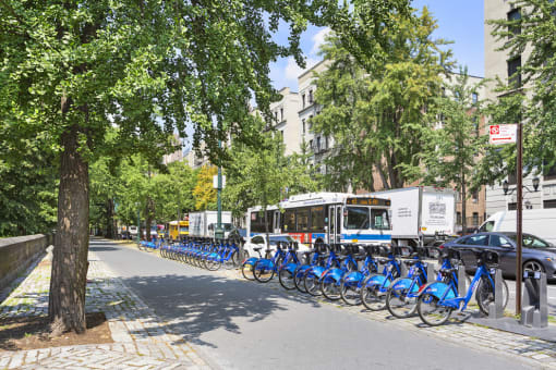 Citi Bikes